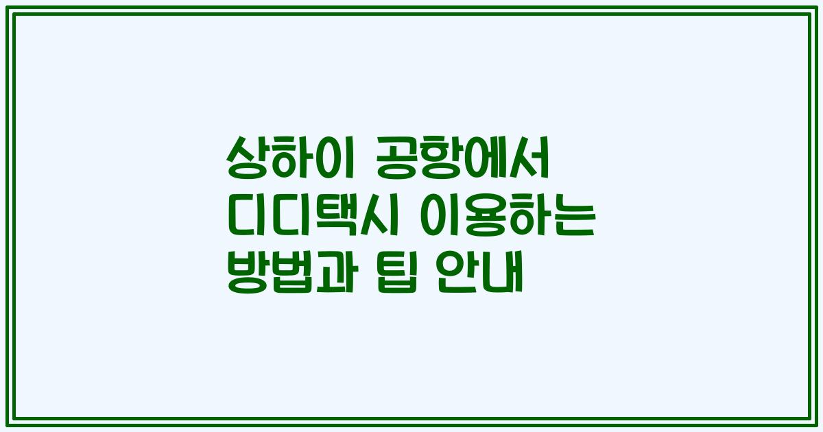 상하이 공항에서 디디택시 이용하는 방법과 팁 안내